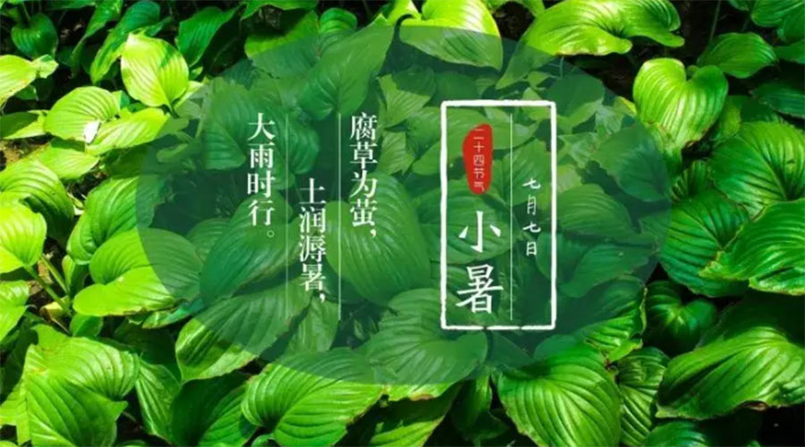 小暑時節(jié)來到！金環(huán)電器提醒大家要注意的事項
